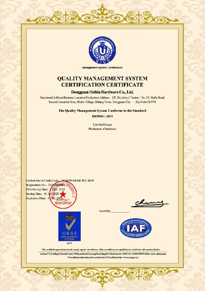 ISO9001 En